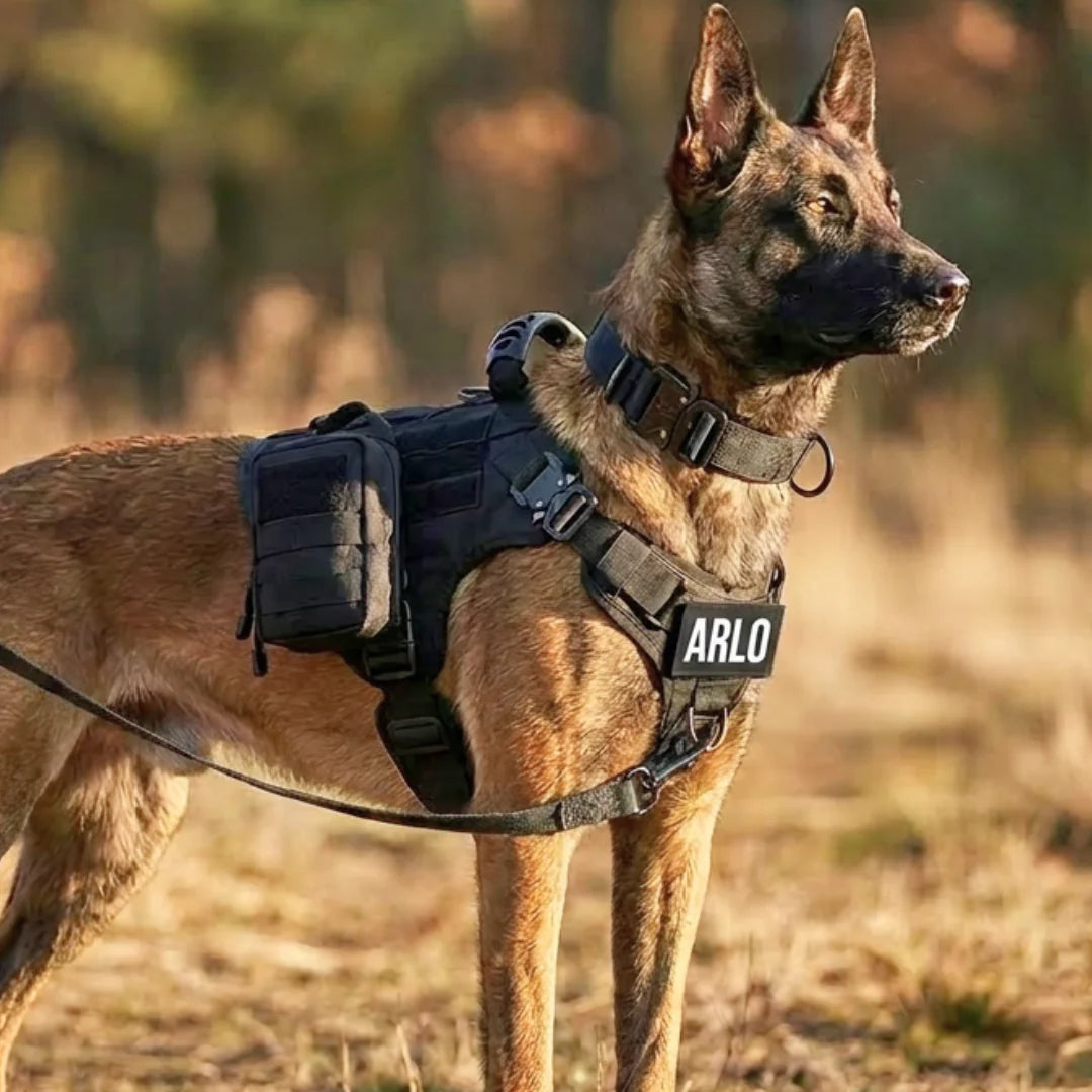 TUSSOCK All-Terrain No-Pull Dog Harness